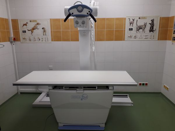 Digitální RTG na klinice LIVE VET